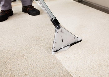 Carpet Cleaning min